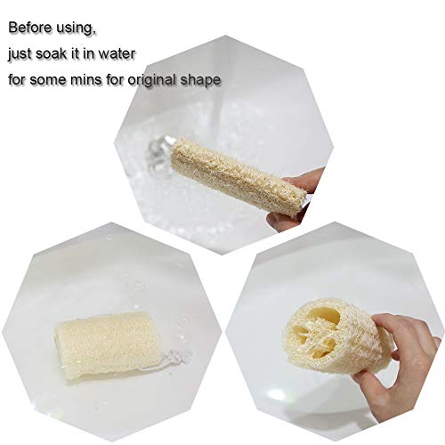 4" Natural Loofah Exfoliating Body Sponge Scrubber, Plant-Based Organic Loofa Luffa for Men & Women Skin Care Bath Shower Cleaning Back & Fac, Natural Sponges for Dishes, Pack of 4