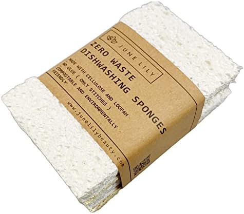 Natural Kitchen Dish Sponge Vegan Plant-Based for Dish Washing Home Cleaning - Each Pack Contains 2 Sponges (1 Pack) by Unknown