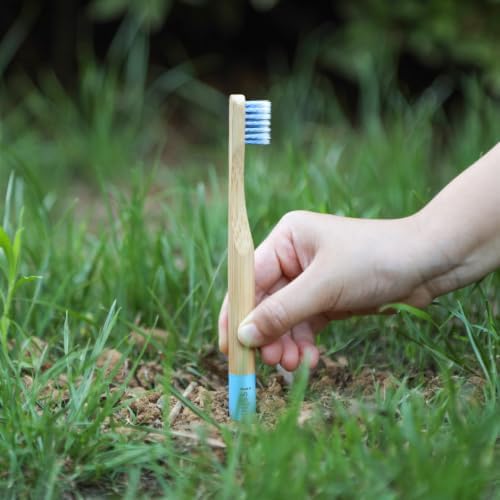 Isshah Biodegradable Bamboo Kids Toothbrush - Spiral Soft Bristles - 6 Pack - Image 5