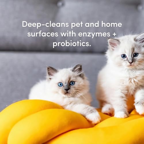 Clean Revolution SuperCharged All Purpose Cleaner Refill with Smart Probiotic + Enzyme Complex, Multi-Surface Kitchen Bathroom & Floor Cleaner, Lemon & Herbs, 32 Fl Oz (Pack of 4) - Image 5
