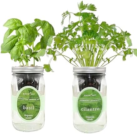 2-Pack Hydroponic Mason Jar Herb Garden Kit, Indoor Herb Garden Self-Watering Starter Kit (Basil,Cilantro) by Environet