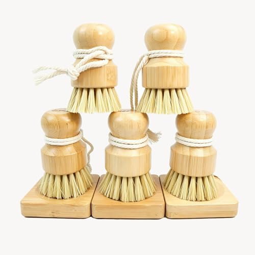 5-Pcs Bamboo Vegetable Brush, Natural Bristle Dish Brush with 3 Holder by Unknown