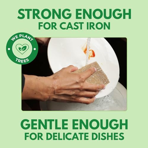 AIRNEX Natural Kitchen Sponges Pack of 20 - Biodegradable Cellulose and Coconut Husk Walnut Scrubbers - Odor Free Non Scratch - Eco Friendly Quick Drying Dishwashing Sponges - Image 3