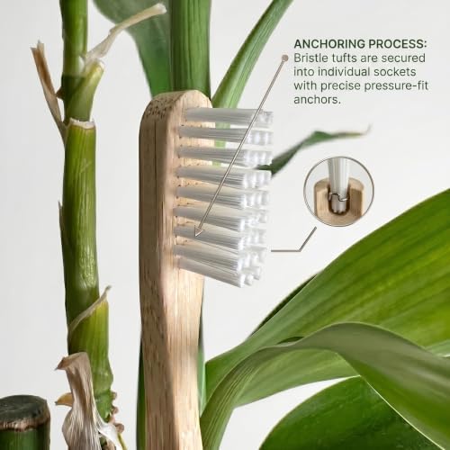Premium Castor Oil Bristle Natural Bamboo Toothbrush, Splinter Free, Shedding Free, BPA Free, Soft/Medium Effective Biodegradable Toothbrush 4-Pack - Image 5