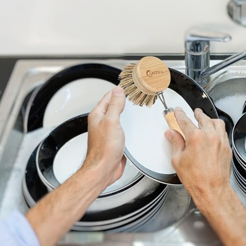 Bamboo Dish Scrubber with Handle - Hard Bristle Natural Bristle Brush Sustainable & Biodegradable Kitchen Scrub Brush for Dishes Pans and Pots - Image 5
