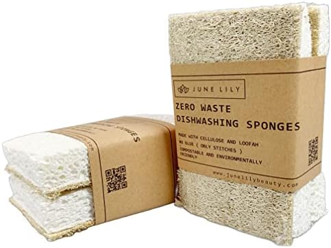 Natural Kitchen Dish Sponge Vegan Plant-Based for Dish Washing Home Cleaning - Each Pack Contains 2 Sponges (2 Pack) by Unknown