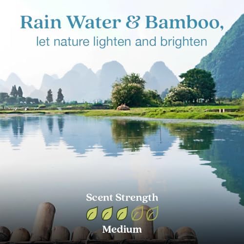 Enviroscent Scent Stix™ Starter Kit with Mango Wood Stand & Refill (1 Pack) - Image 3
