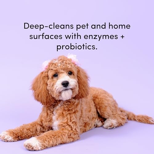Clean Revolution SuperCharged All Purpose Cleaner Refill with Smart Probiotic + Enzyme Complex, Multi-Surface Kitchen Bathroom & Floor Cleaner, Seaside Lavender, 18 oz (Pack of 1) - Image 3