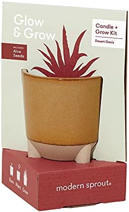 Modern Sprout Glow and Grow Kit - Soy Candle Planter - Grows Aloe - 12oz by ModernSprout