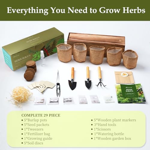 5 Herb Garden Planter Indoor with Wooden Box, Home Kitchen Seed Starter Kit Including Basil, Thyme, Parsley, Rosemary, Mint, Birthday, Mothers Day, House Warming, Gardening Gifts for Women, Mom - Image 3