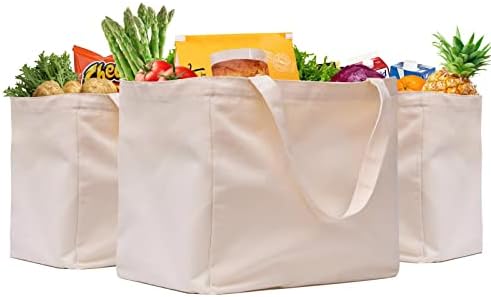 3 Pack Heavy Duty Reusable Canvas Grocery Bags, Holds 60 lbs, 8.3 gal Multi-Purpose Washable Grocery Bags with 5 Pockets, Off White by CNaiyunpin