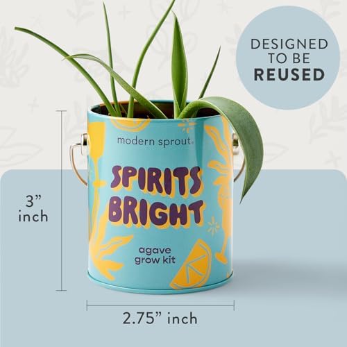 Modern Sprout Complimentary Color Grow Kits - Seed Starter Kit, Pack of 3 - Image 7