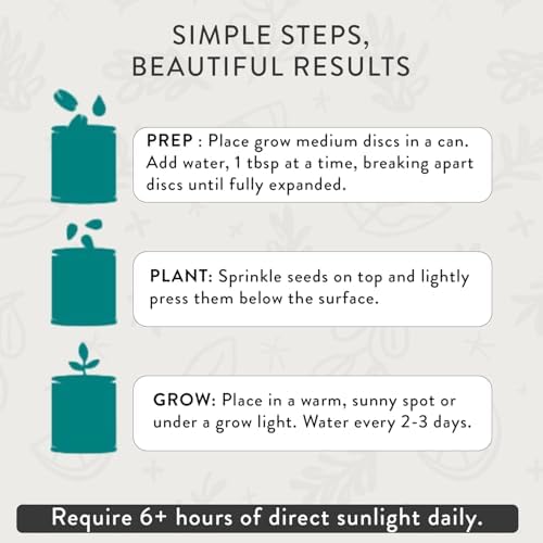 Modern Sprout Complimentary Color Grow Kits - Seed Starter Kit, Pack of 4 - Image 5