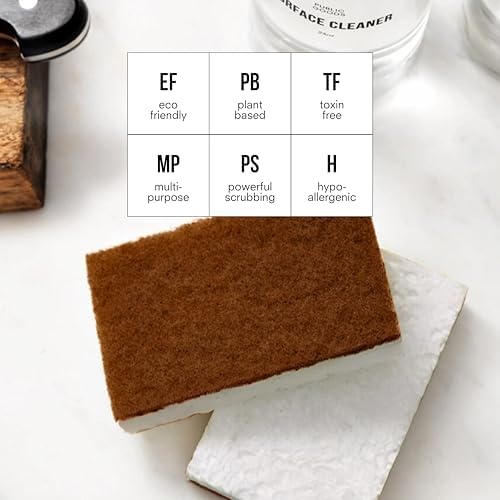 Public Goods Scrubber Sponge | Natural, Plant-Based | Pack of 4 - Image 3