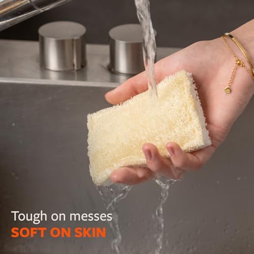 Full Circle 100% Plant-Based Loofah Sponges, Natural Sponge, Pack of 2 - Image 5