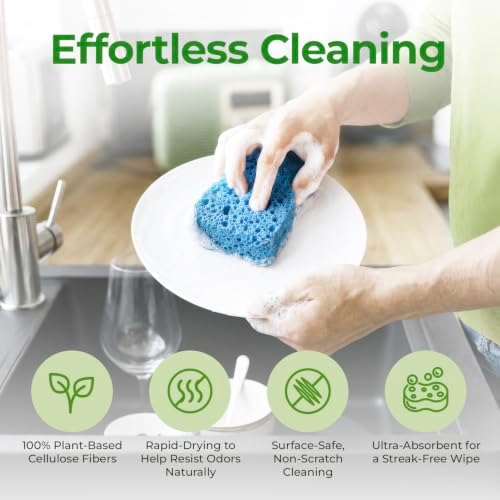 AIRNEX XL Compressed Cellulose Sponges - 6 Pack Large Natural Pop Up Dish Sponge for Kitchen - Compostable Plant-Based Cleaning Sponges Bulk – Non Scratch Big Sponges for Dishes & Household Cleaning - Image 4