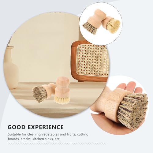 Homoyoyo 2pcs Palm Fiber Kitchen Scrub Brush Set, Natural Palm and Sisal Fiber Pot Scrubber for Dishwashing and Sink Cleaning, Multipurpose Household Cleaning Tool - Image 3
