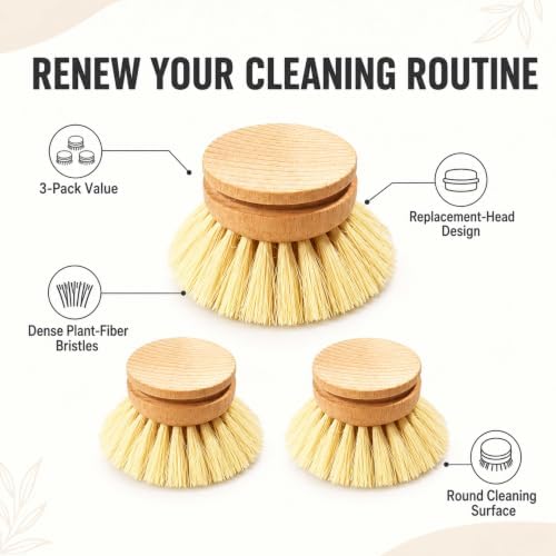 Natural Bristle Dish Brush Refill Heads, 3 Pack, Heads Only - Image 3