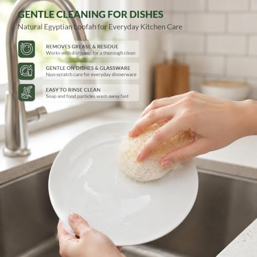 Natural Egyptian Loofah Dish Sponges, Double-Sided Scrubbers, 4-Pack - Image 5