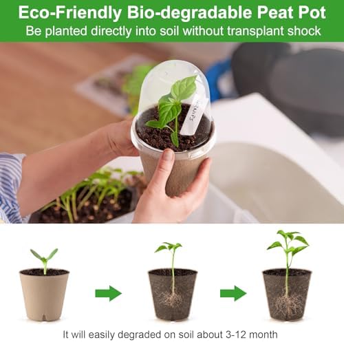 50 Set 3.15 Inch Peat Pots Plant Starters for Seedling with Humidity Dome - Image 5