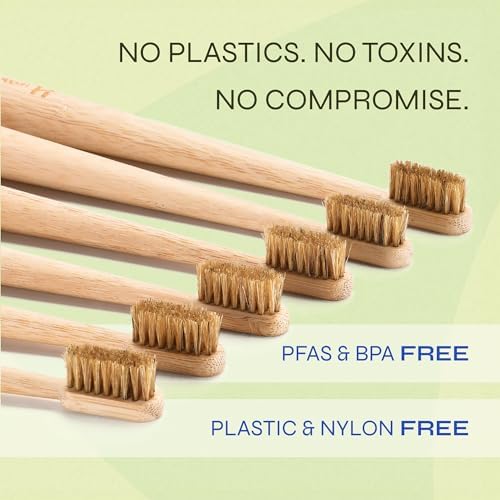 Boar Bristle Bamboo Toothbrush, Made from Natural Boar Hair Bristles, Plastic-Free (Pack of 6) - Image 2