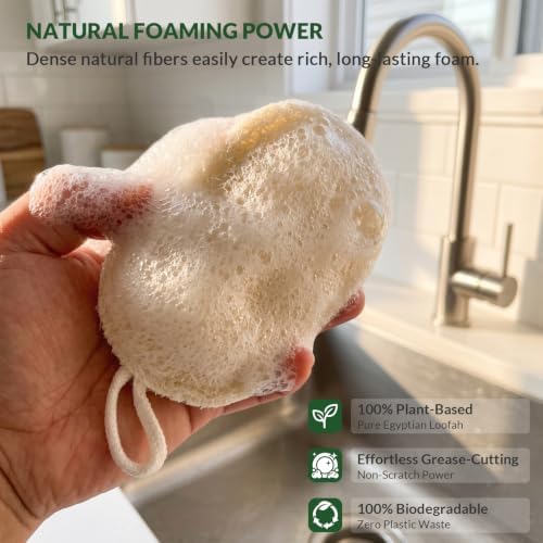 Natural Egyptian Loofah Dish Sponges, Double-Sided Scrubbers, 4-Pack - Image 3