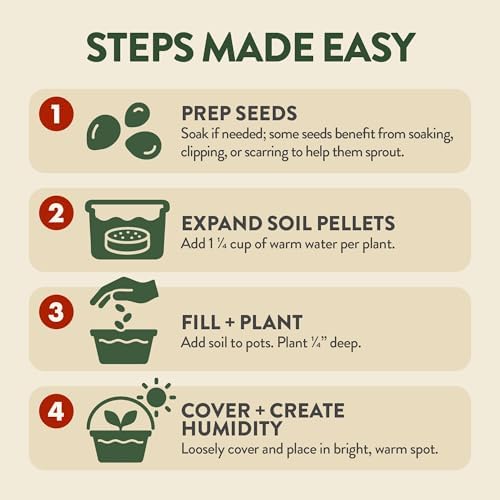 HOME GROWN 4 Bonsai Tree Starter Kit, Christmas Gardening Gift for Adults - Image 4