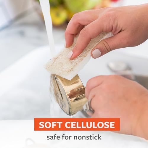Full Circle Coconut Scrubber Sponges, Pack of 2, Dual-Sided - Image 3