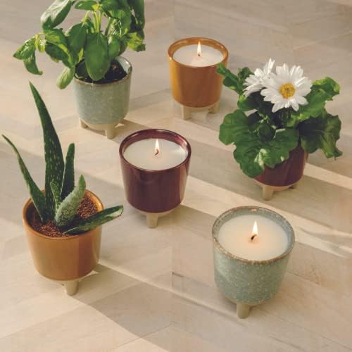 Modern Sprout Glow and Grow Kit - Soy Candle Planter - Grows Aloe - 12oz - Image 6
