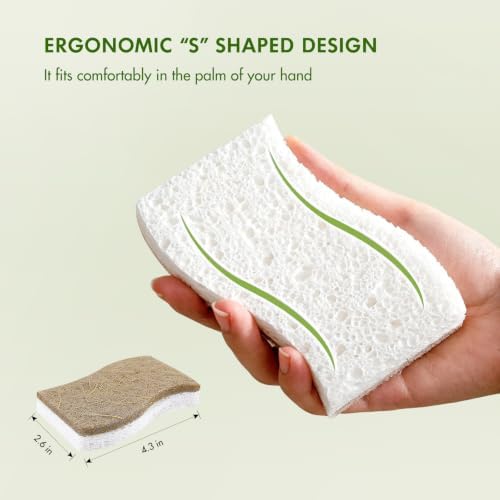 SetSail Natural Kitchen Sponges, 12 Pack Biodegradable Dish Sponges - Image 2