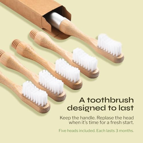 The Solo Toothbrush, Aluminum Handle Bamboo Toothbrush with Replaceable Bamboo Heads, 100% Plant-Based Castor Oil Bristles, No Nylon Bristles, Plastic-Free Handle, Natural Toothbrush for Adults - Image 5