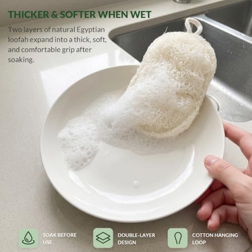Natural Egyptian Loofah Dish Sponges, Double-Sided Scrubbers, 4-Pack - Image 4
