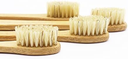 Gaia Guy Bamboo and Boar Bristle Toothbrush (4 Pack) + Travel Case & Silk Dental Floss | 100% Compostable Bristles and Floss | Eco-Friendly Dental Set | Biodegradable & Compostable Wooden Toothbrushes - Image 7