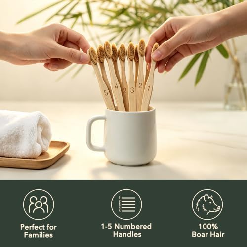 Gaia Guy Boar Bristle Bamboo Toothbrushes – 10 Pack Natural Bristle Toothbrush Set, Plastic-Free & Nylon-Free, Numbered Bamboo Handles, Medium Boar Hair Bristles for Adults & Families - Image 3