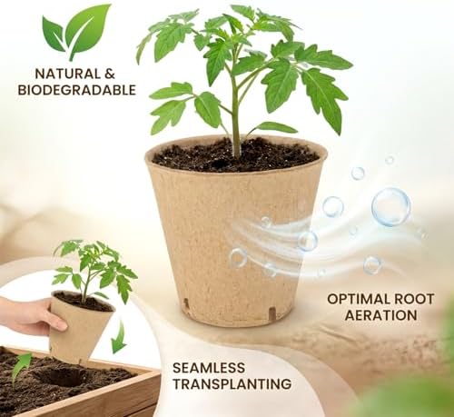 Peat Pots for Seedlings - 25 Pack Seed Starting Pots with Drainage Holes - Image 5
