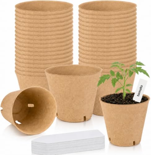 Peat Pots for Seedlings - 25 Pack Seed Starting Pots with Drainage Holes by Unknown