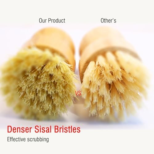 Vegetable & Dish Brush Set, Natural Sisal Bristle Kitchen Brush - Image 6
