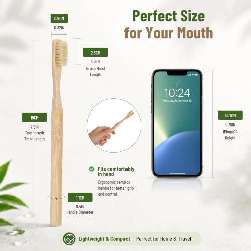 DEBETOOL 4-Pack Natural Boar Bristle Toothbrush for Adults - Image 2