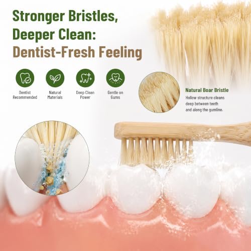 DEBETOOL 4-Pack Natural Boar Bristle Toothbrush for Adults - Image 4