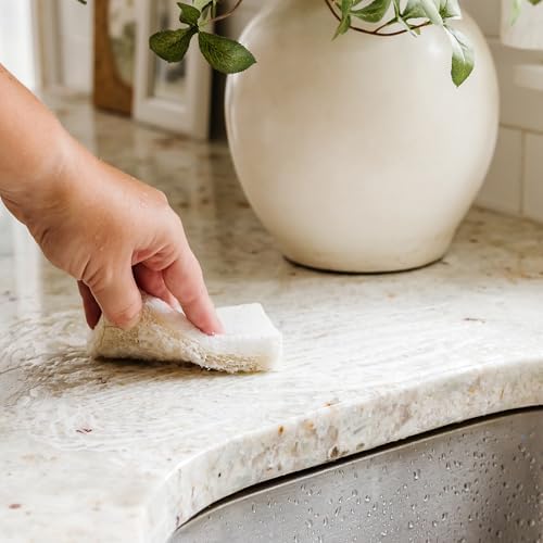 Full Circle Coconut Scrubber Sponges, Pack of 6 – Dual-Sided, Plant-Based Sponges Made with Coconut Shells, Cellulose & Recycled Materials, Safe for Nonstick Cookware - Image 5