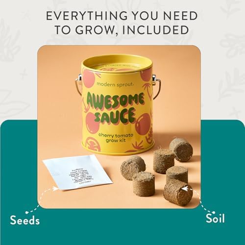 Modern Sprout Complimentary Color Grow Kits - Seed Starter Kit, Pack of 4 - Image 6