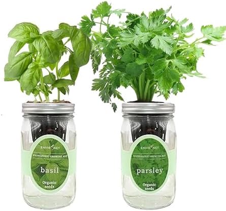 2-Pack Hydroponic Mason Jar Herb Garden Kit, Indoor Herb Garden Self-Watering Starter Kit (Basil, Parsley) by Environet