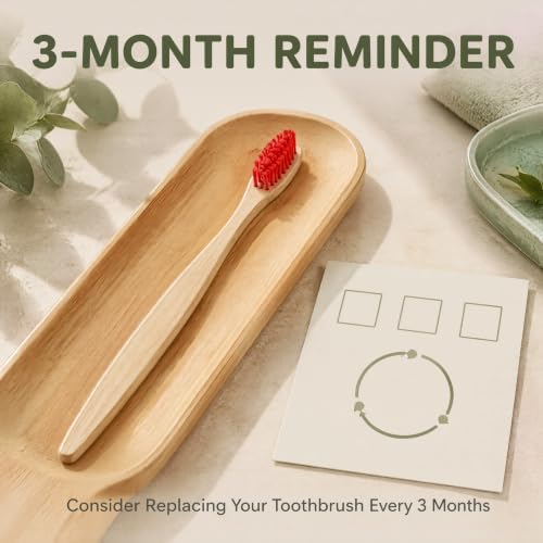 10 Vibrant Colors Bamboo Toothbrushes | BPA Free Soft Bristles Toothbrushes | Biodegradable & Compostable Eco-Friendly Toothbrushes | Natural Wooden Toothbrush - 100% Recycled Packaging - Image 6
