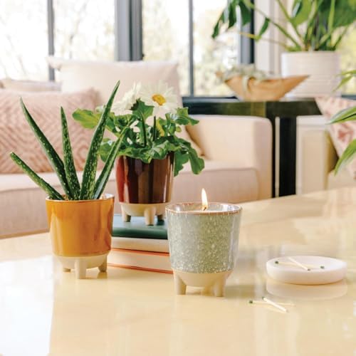 Modern Sprout Glow and Grow Kit - Soy Candle Planter - Grows Basil - 12oz - Image 2