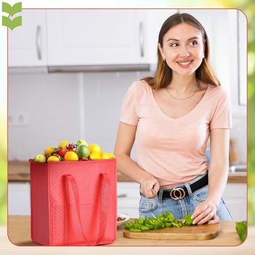 Paterr 4 Pcs Insulated Grocery Bags Reusable, with Zipper - Image 3