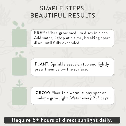 Modern Sprout Complimentary Color Grow Kits - Seed Starter Kit, Pack of 6 - Image 4