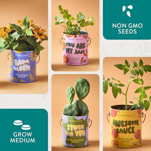 Modern Sprout Complimentary Color Grow Kits - Seed Starter Kit, Pack of 4 - Image 2