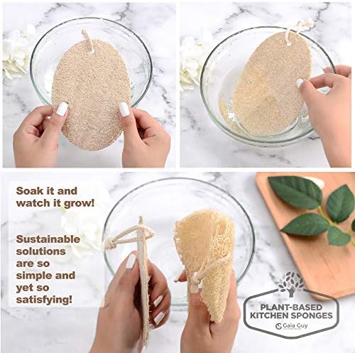 Natural Loofah Dish Sponge - 10 Pack (6 + 4 Bonus) - 100% Plant-Based, Plastic-Free Kitchen Scrubber Pads | Compostable & Zero Waste Alternative to Traditional Sponges - Image 6