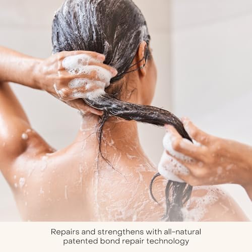 Everist The Haircare Travel Duo, The Shampoo Concentrate & The Deep Conditioning Concentrate, Deep Hydration and Smoothing, Aloe Vera, Paraben & Sulfate Free, Color-Safe, 2 x 0.7 fl oz Set - Image 3