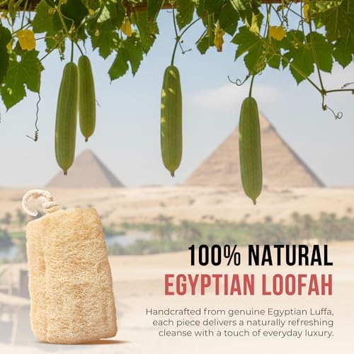 SERRENTO Loofah Body Bath Scrubber Shower - Egyptian Loofa Pack of 3 Tan - Image 5